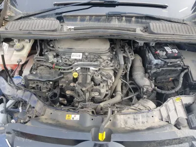 Focus C-Max